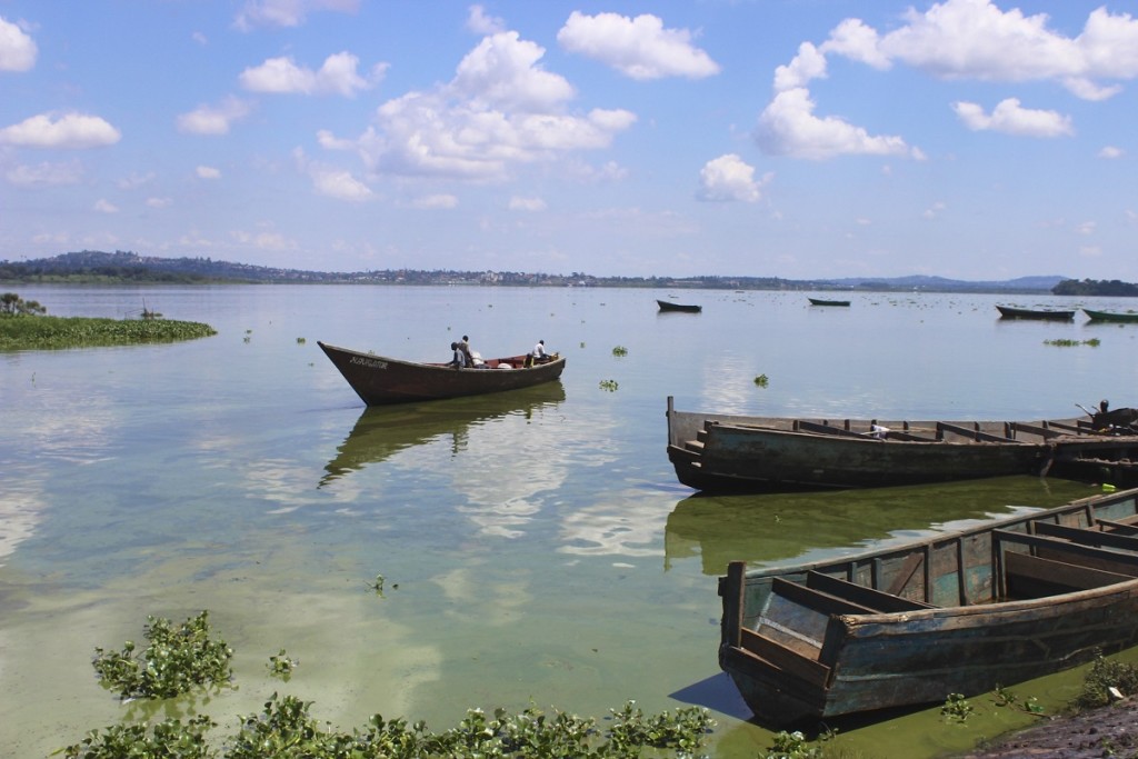 bulk sms in Kisumu 